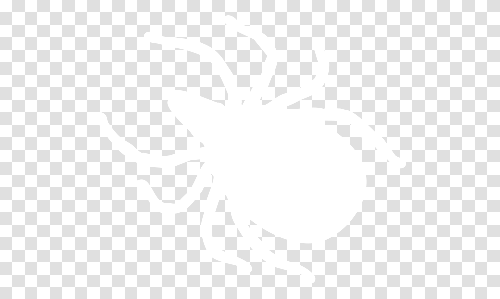 Ah Nexgard Parasitism, Stencil, Tick Transparent Png