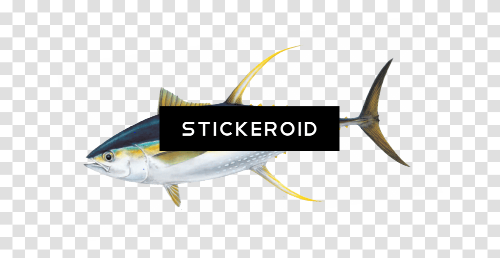 Ahi Anim Fish Tuna, Animal, Sea Life, Swordfish, Bird Transparent Png