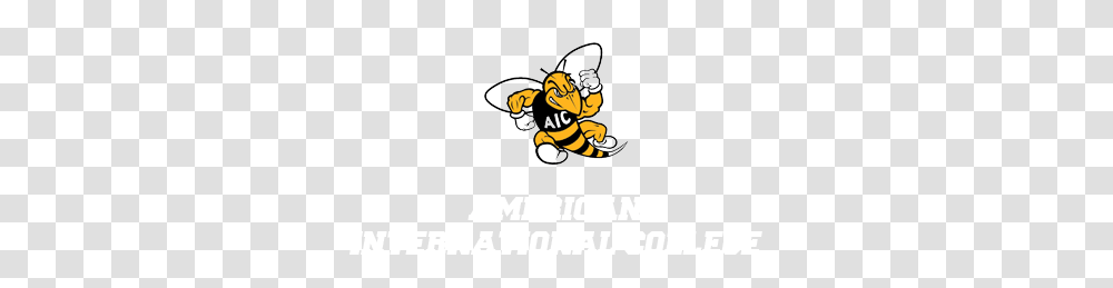 Aic Yellow Jackets Camps, Honey Bee, Insect, Invertebrate, Animal Transparent Png