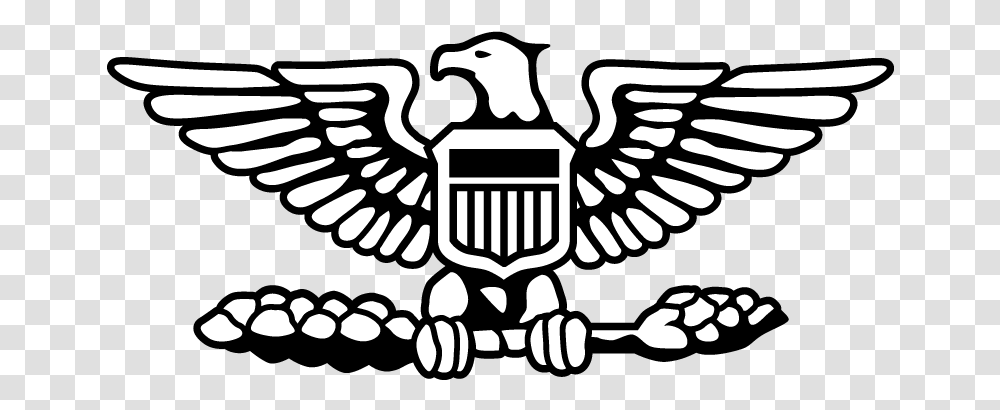 Air Force Colonel Symbol, Emblem, Eagle, Bird, Animal Transparent Png