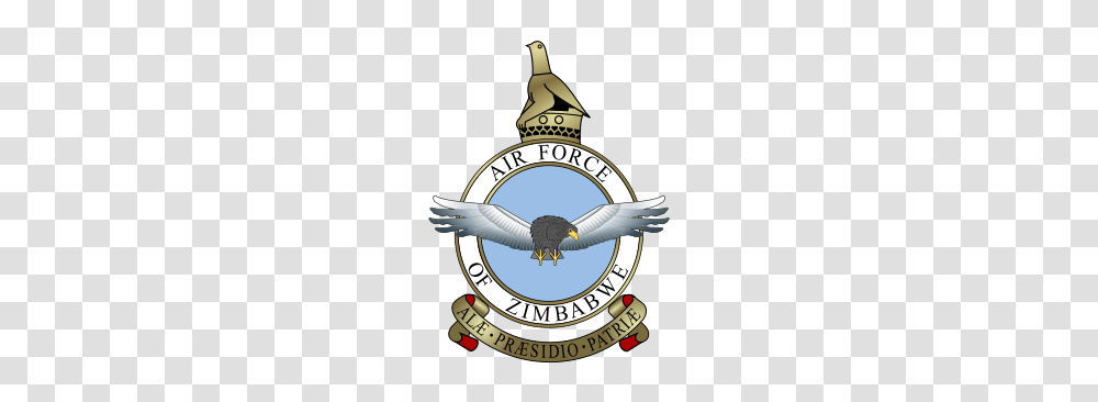Air Force Of Zimbabwe, Eagle, Bird, Animal Transparent Png