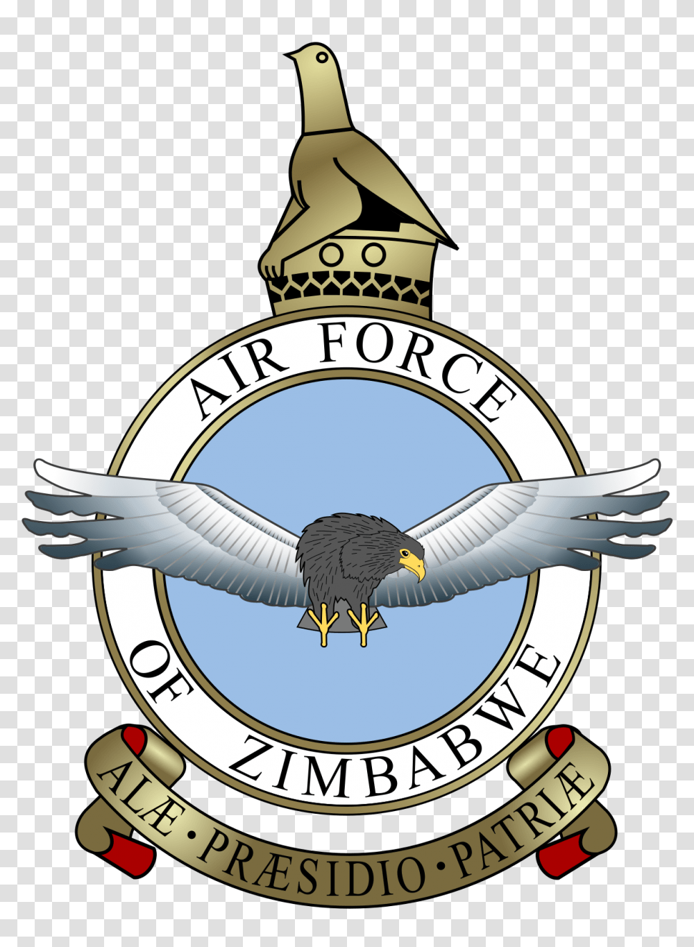 Air Force Of Zimbabwe, Eagle, Bird, Animal Transparent Png