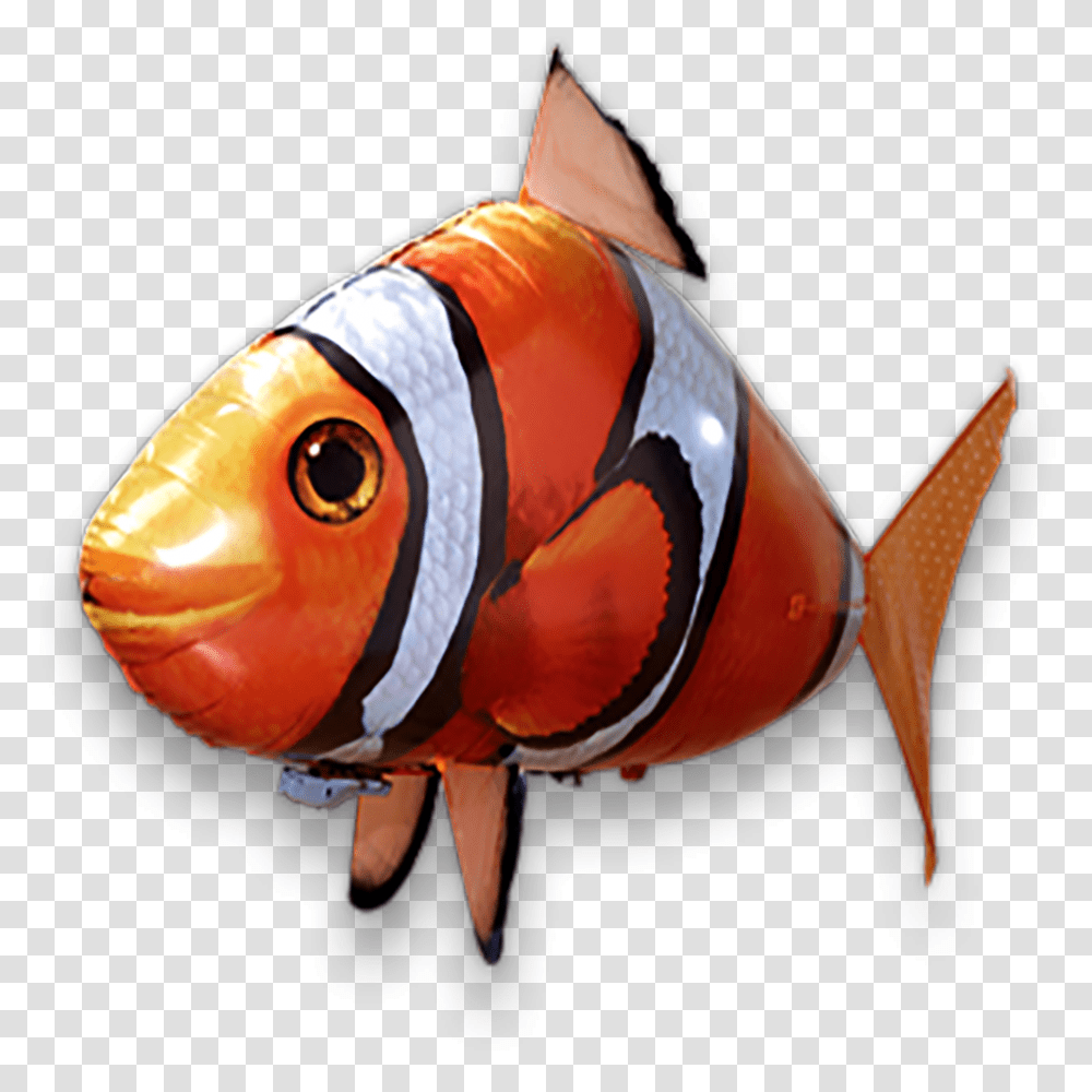 Air Swimmers Remote Control Flying SharkClass Fish Swimmer, Animal, Amphiprion, Sea Life, Person Transparent Png