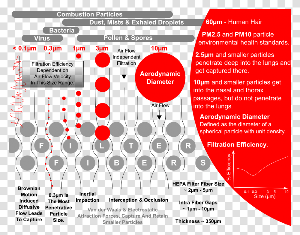 Airborne Covid Dot, Advertisement, Poster, Text, Flyer Transparent Png