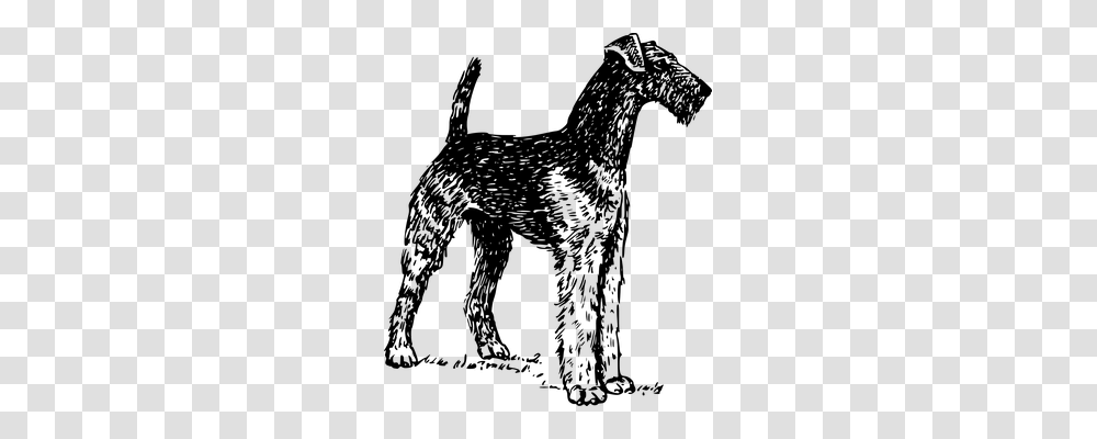 Airedale Animals, Gray, World Of Warcraft Transparent Png