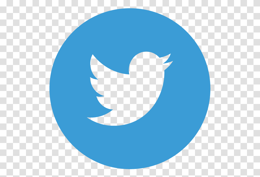 Airport News & Announcements City Of Redding Twitter Logo, Bird, Animal, Text, Symbol Transparent Png