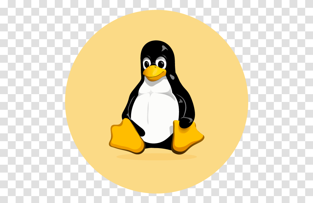 Airserver For Embedded Linux Tux Linux, Penguin, Bird, Animal, King Penguin Transparent Png