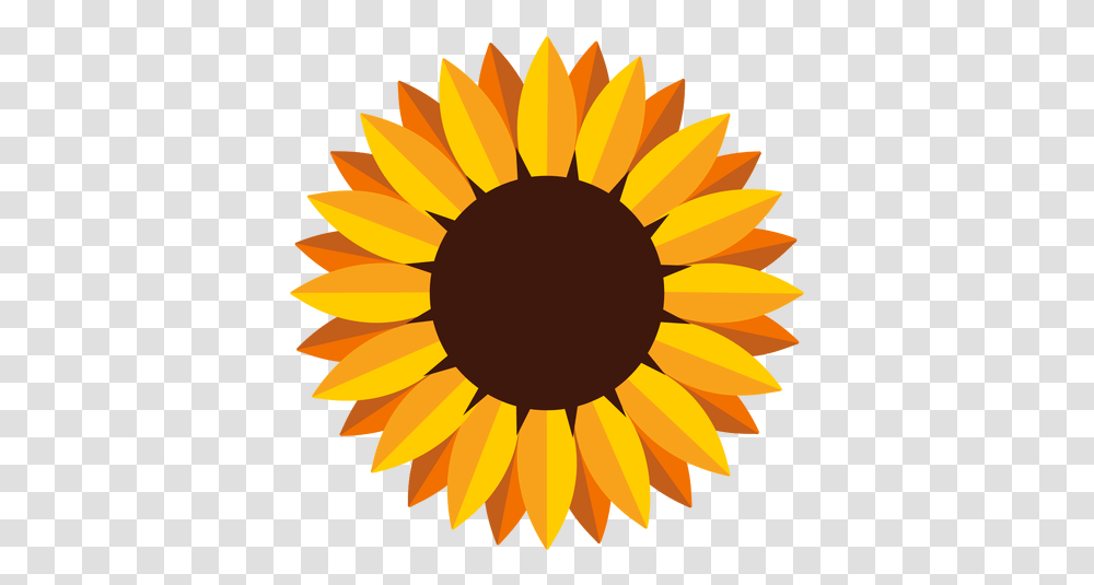Aislada De La Cabeza Del Girasol Sunflower Graphic, Plant, Blossom Transparent Png