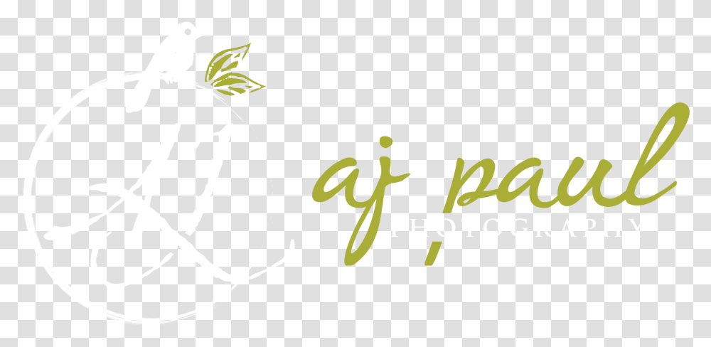 Aj Photography Logo Hd Aj Logo Hd, Bird, Animal, Alphabet Transparent Png