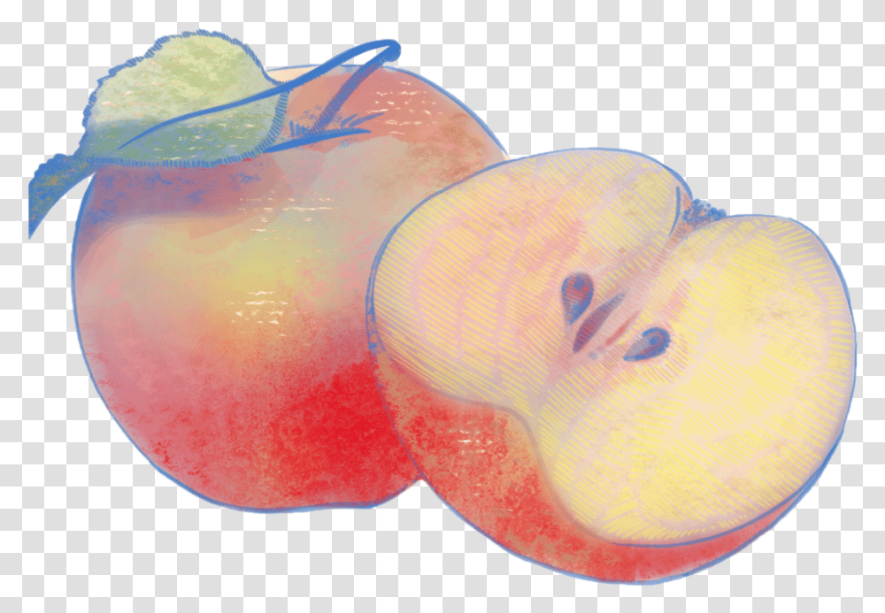Aj Seiden Apple, Sunglasses, Accessories, Accessory, Ornament Transparent Png