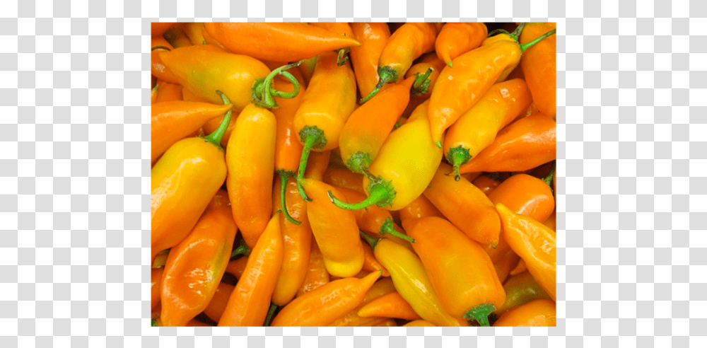 Aji Zanahoria Aji Pepper, Plant, Vegetable, Food, Bell Pepper Transparent Png