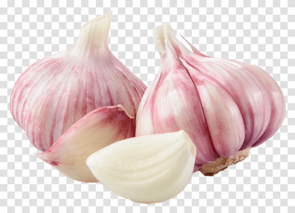 Ajo Violeta Home Pink Garlic, Plant, Vegetable, Food Transparent Png
