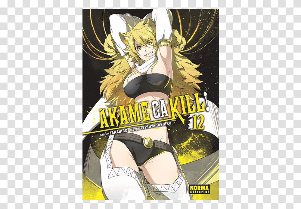Akame Ga Kill, Comics, Book, Poster, Advertisement Transparent Png