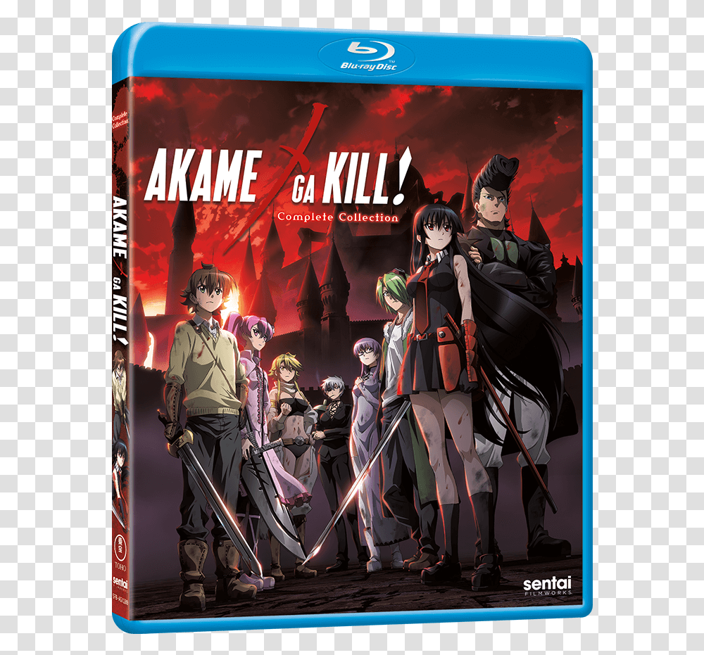 Akame Ga Kill, Poster, Advertisement, Person, Human Transparent Png