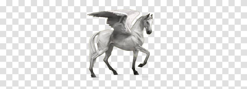 Akhal Teke Pegasus Light Gray, Fantasy, Horse, Mammal, Animal Transparent Png
