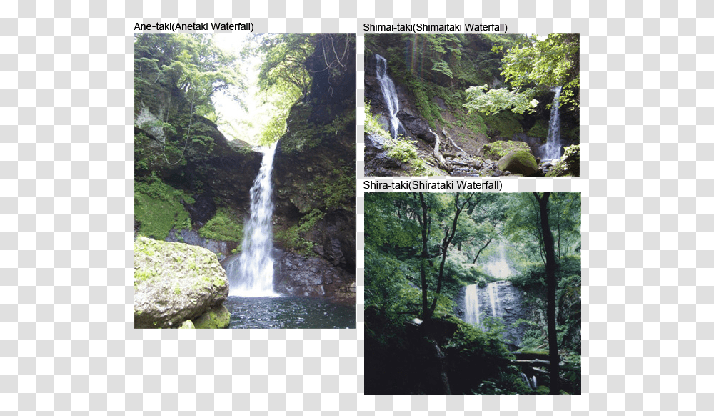 Akiu Otaki Waterfall Waterfall, Outdoors, Nature, Vegetation, Plant Transparent Png