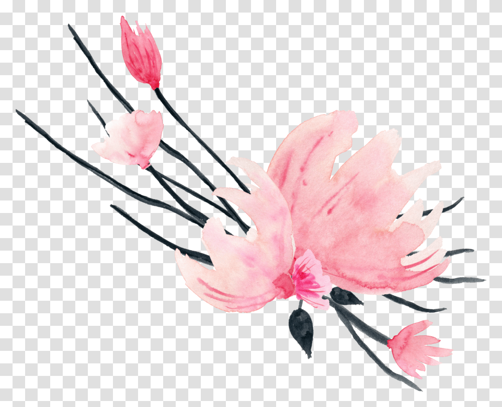 Akvarel Akvarelniecveti Waterflower Watercolor, Plant, Blossom, Petal, Pollen Transparent Png