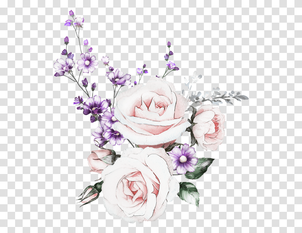 Akvarelnie Cveti, Plant, Flower, Blossom, Rose Transparent Png