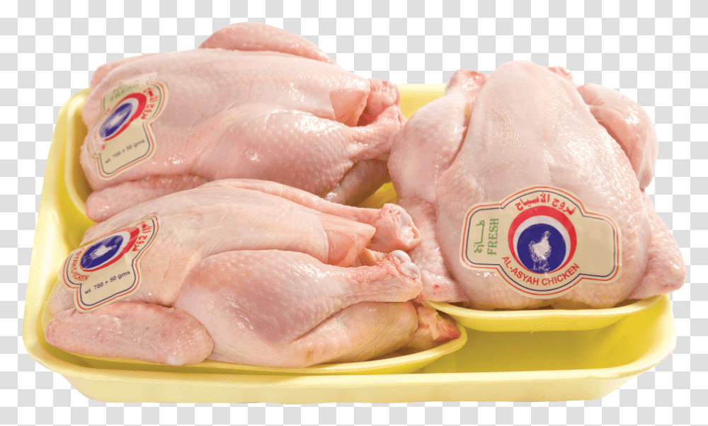 Al Chicken, Animal, Bird, Poultry, Fowl Transparent Png