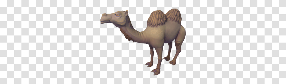 Al The Camel, Dinosaur, Reptile, Animal, Person Transparent Png