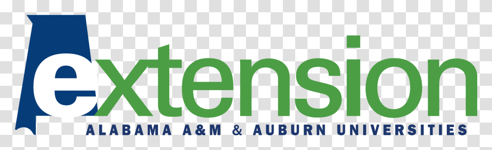 Alabama Extension, Word, Label, Alphabet Transparent Png