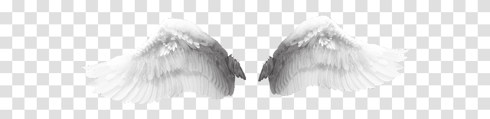 Alas De Angel Wings, Animal, Bird, Archangel Transparent Png