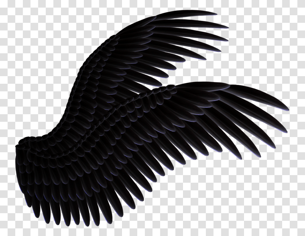 Alas Negras, Eagle, Bird, Animal, Vulture Transparent Png