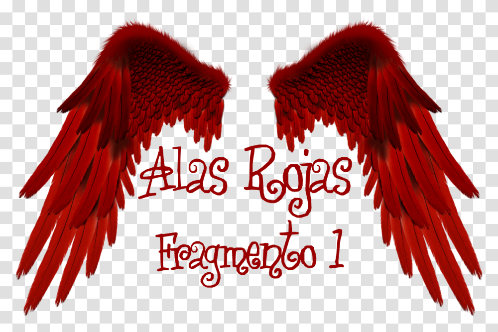 Alas Rojas Illustration, Eagle, Bird, Animal Transparent Png