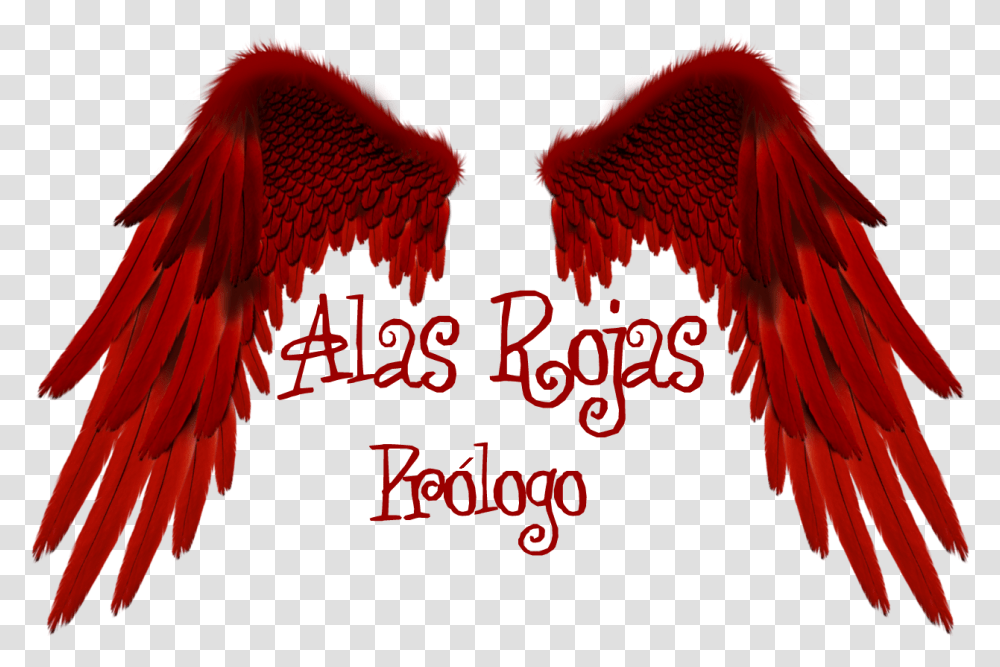 Alas Rojas Prlogo Love, Eagle, Bird, Animal, Symbol Transparent Png