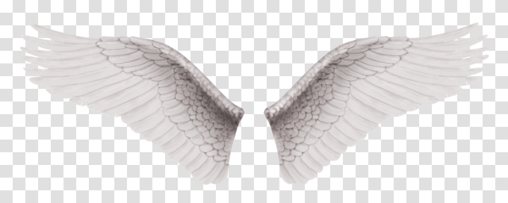 Alas Vector Wings For Editing, Bird, Animal, Eagle, Flying Transparent Png