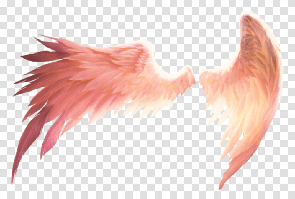 Alas Wings Wing Ala Alado Winged Fantasy Fantasa Angel Wings, Bird, Animal, Flamingo, Chicken Transparent Png