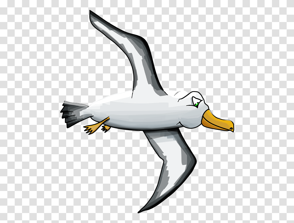 Albatross Bird Seagull Cartoon Albatross, Animal, Hammer, Tool, Airplane Transparent Png