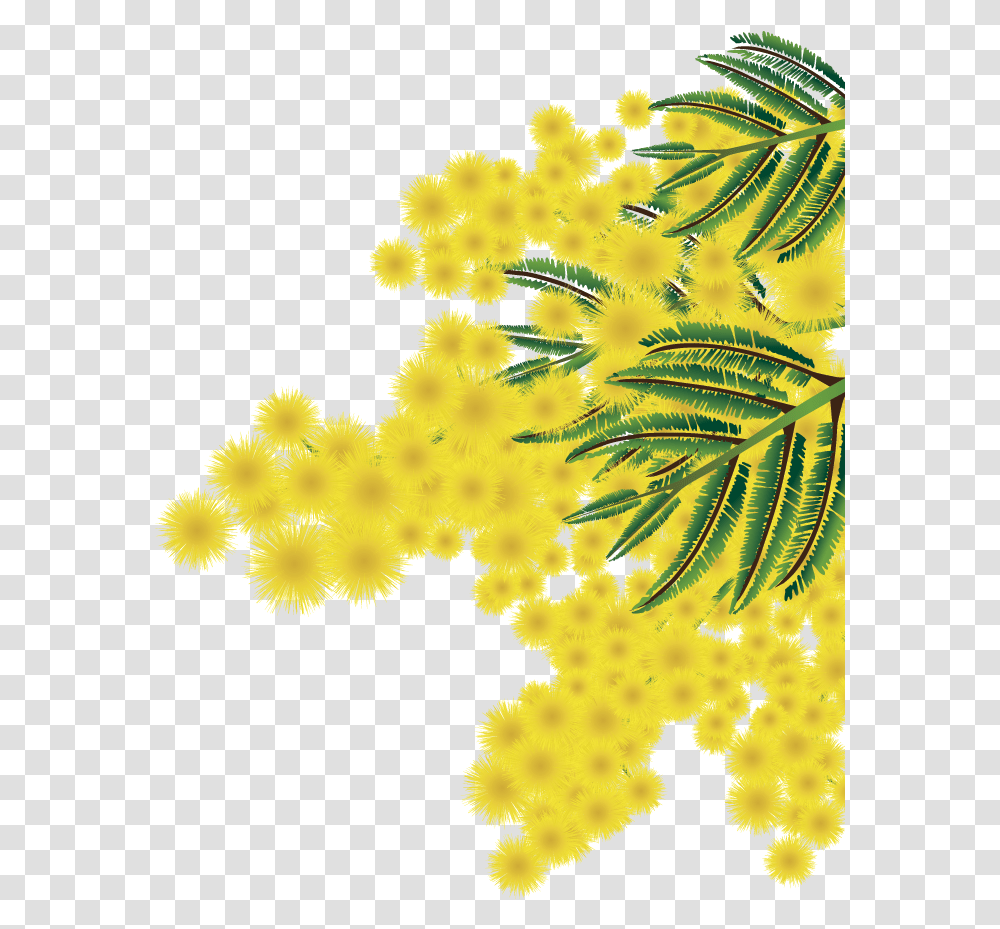Albero Mimosa Mimosa, Pattern, Fractal, Ornament, Plant Transparent Png