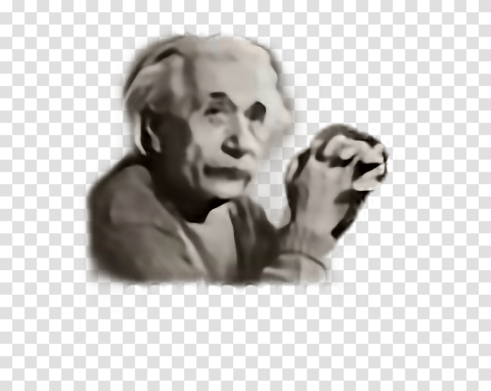 Albert Einstein, Person, Human, Head, Money Transparent Png