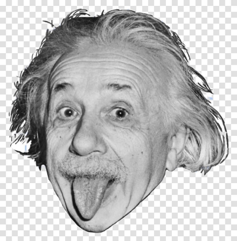 Albert Einstein The Quotable Einstein Relativity Albert Einstein, Head, Face, Person, Human Transparent Png