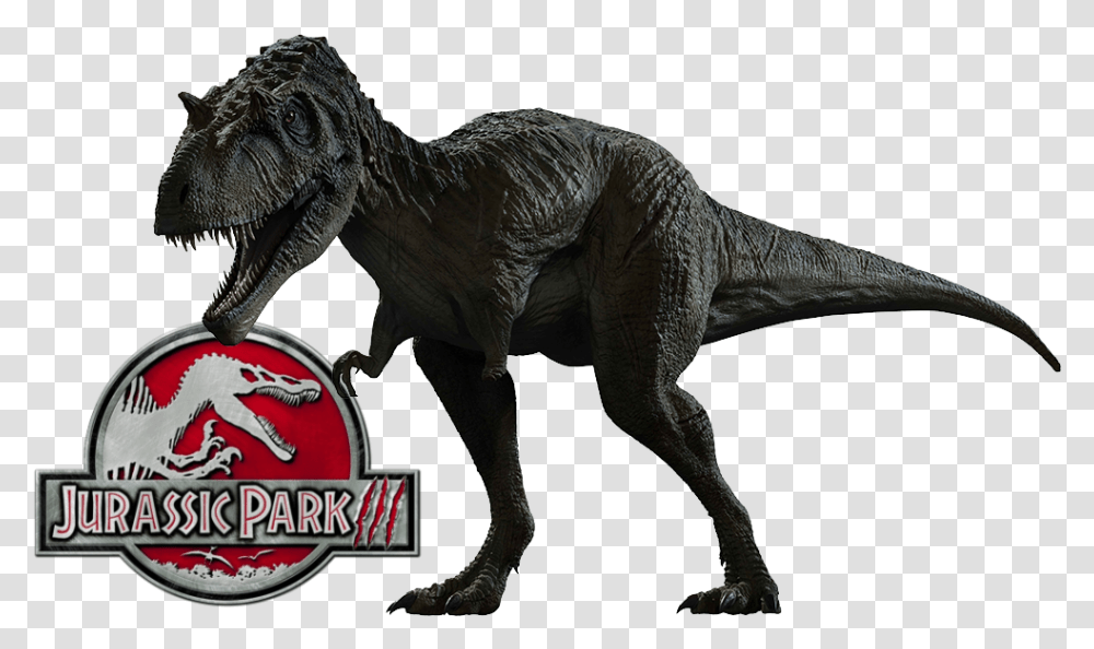 Albertosaurus, T-Rex, Dinosaur, Reptile, Animal Transparent Png