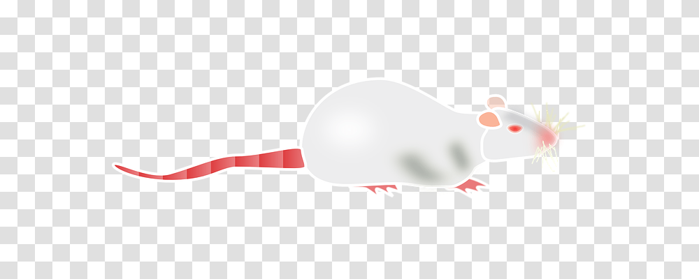Albino Technology, Mammal, Animal, Rodent Transparent Png