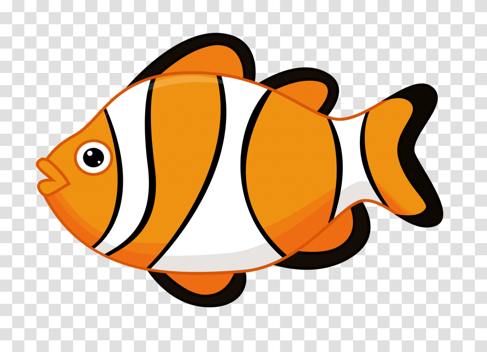 Album, Food, Animal, Fish, Amphiprion Transparent Png