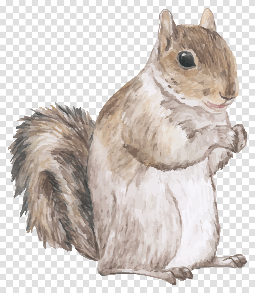 Album - Tagged Da Lat Linkiconhttpfilehstaticnet Lover Quote About Squirrel Love, Bird, Animal, Rodent, Mammal Transparent Png