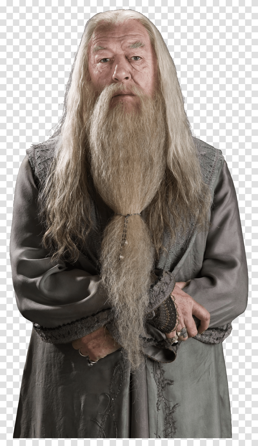Albus Dumbledore, Face, Person, Human, Beard Transparent Png