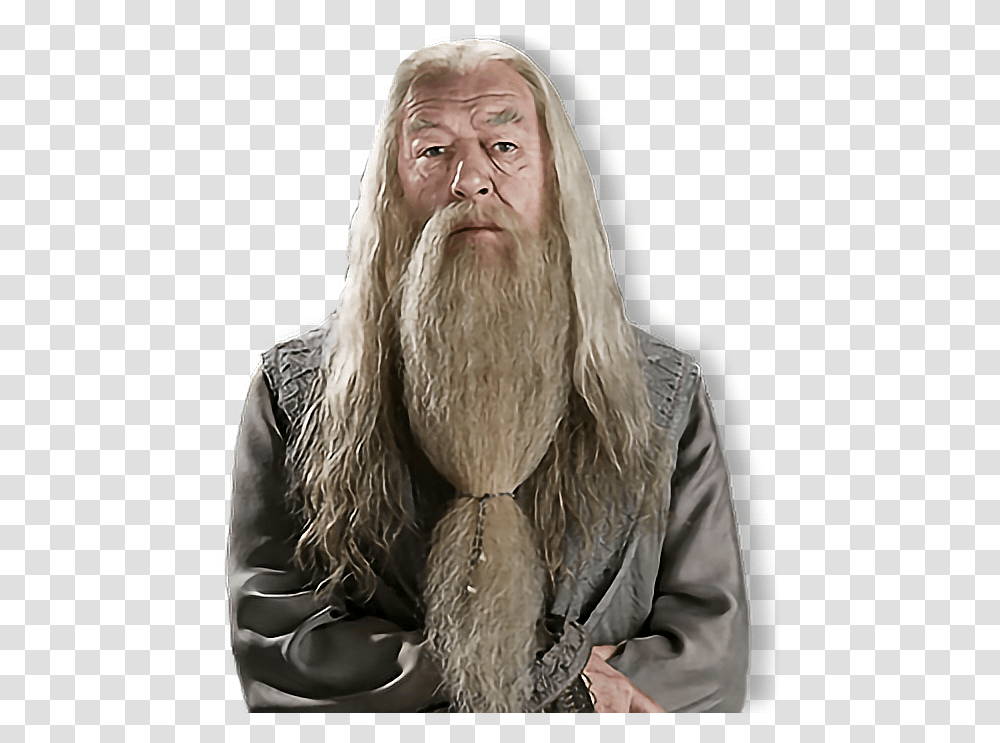 Albus Percival Wulfric Brian Dumbledore Albusdumbledore Albus Dumbledore, Face, Person, Human, Beard Transparent Png