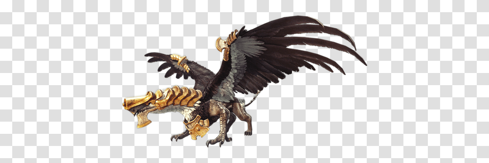 Alchemised Griffin, Bird, Animal, Dragon, Dinosaur Transparent Png