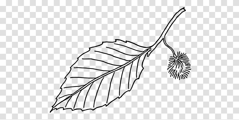 Alder Tree Leaf Tattoo, Plant, Tobacco, Veins Transparent Png
