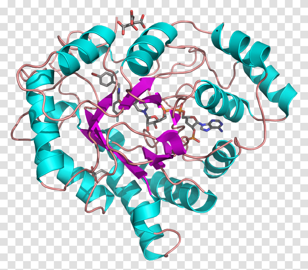 Aldose Reductase 1us0 Xilosa Reductasa, Purple, Light Transparent Png