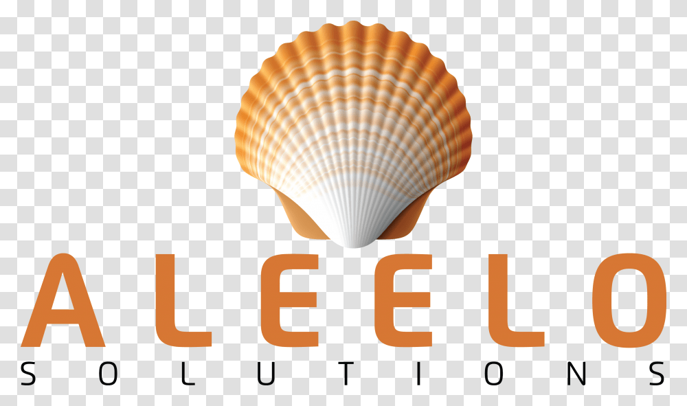 Aleeelo Larg Logo Seashell, Clam, Invertebrate, Sea Life, Animal Transparent Png