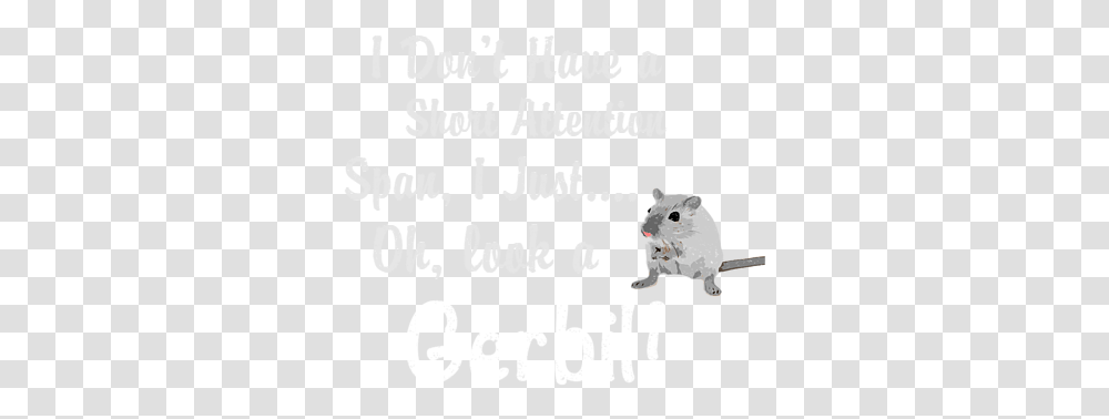 Alenia C 27j Spartan, Rodent, Mammal, Animal, Pet Transparent Png