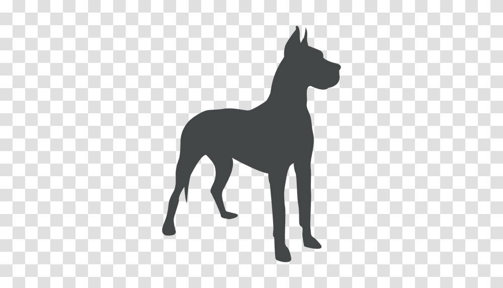 Alert Dog Silhouette Posing, Mammal, Animal, Horse, Pet Transparent Png