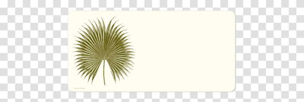 Alexa Pulitzer Palm Monarch Note Cards Circle, Plant, Drawing, Animal Transparent Png