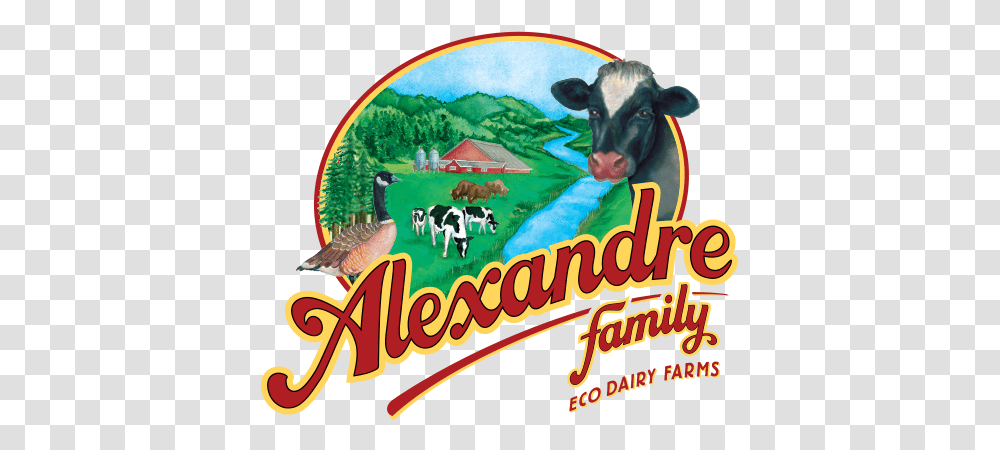 Alexandre Family Ecodairy Organic Farms Grassland, Bird, Animal, Mammal, Cattle Transparent Png