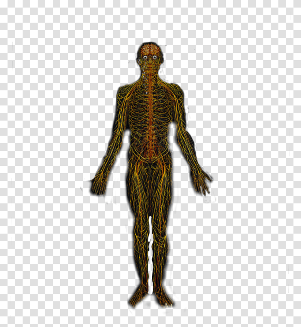 Alexgrey Tool Nerves Male, Person, Human, Alien, Skeleton Transparent Png